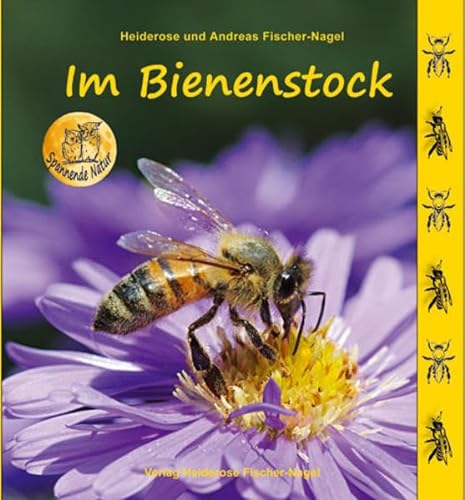 Im Bienenstock (Spannende Natur) von Fischer-Nagel, Heiderose